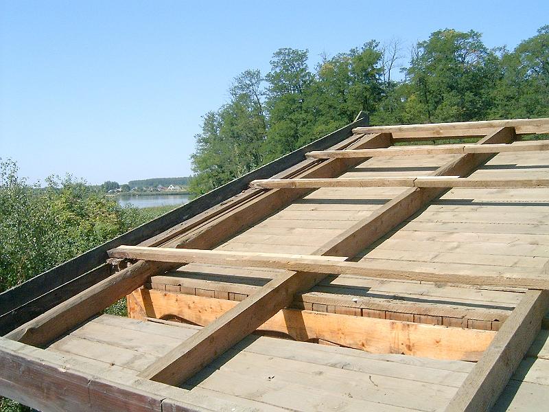 2009.08.21 007.jpg